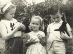 With Rabbits